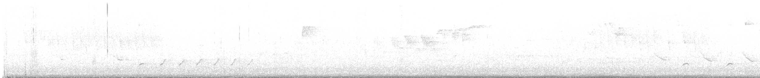 Blackpoll Warbler - ML570257811