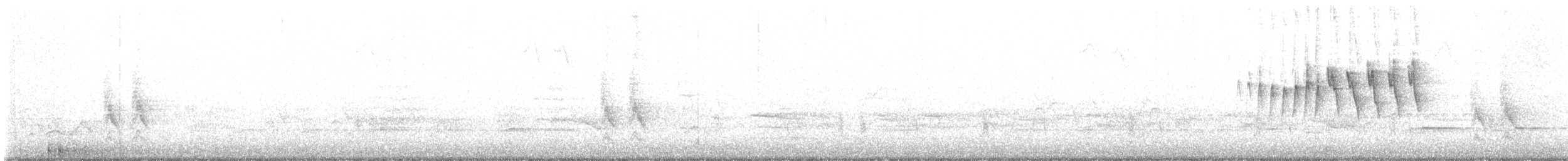 Малая вильсония - ML570261021