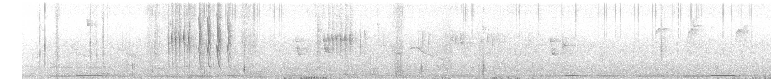 Colibri vesper - ML57027891