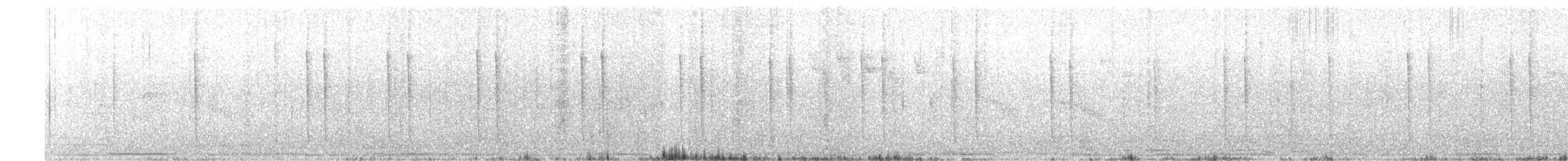 Colibri cora - ML57028121