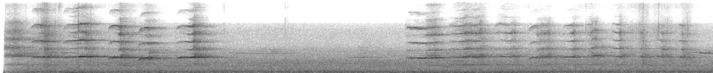 sokol stěhovavý (ssp. peregrinator) - ML570306211