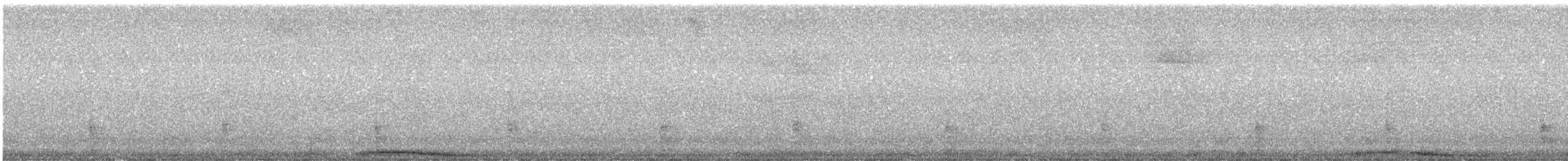 Chouette rayée - ML570306911