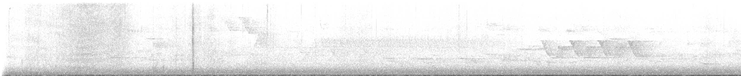 Common Yellowthroat - ML570323021