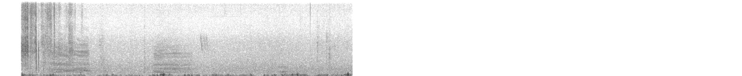 holub skvrnokřídlý - ML57032351