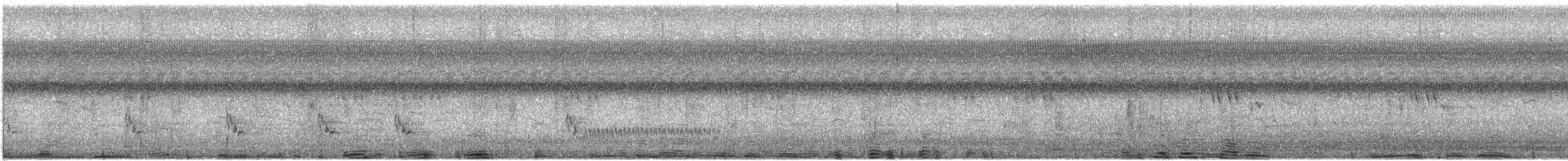 Папирусовая цистикола - ML570330781