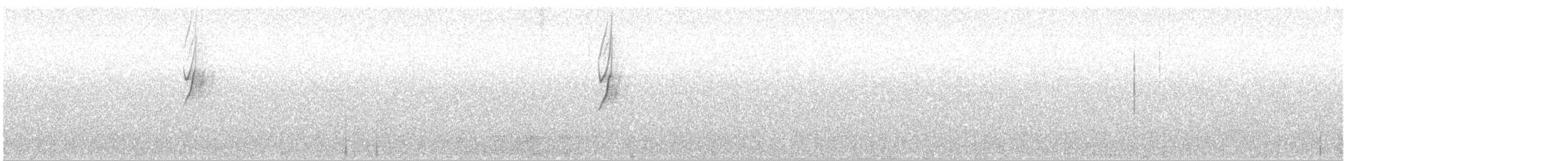 Белокрылая диука - ML57034511