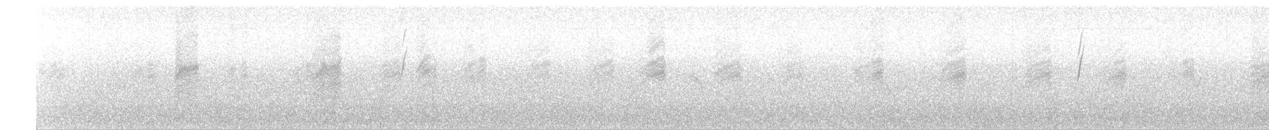 Белокрылая диука - ML57034521