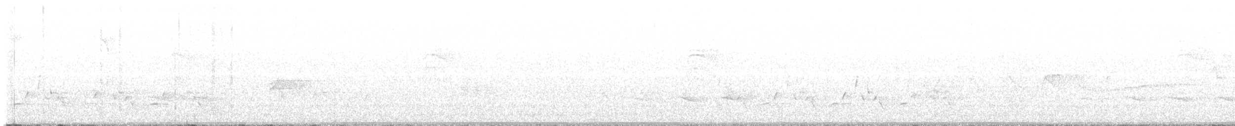 Anatra sposa - ML570349951