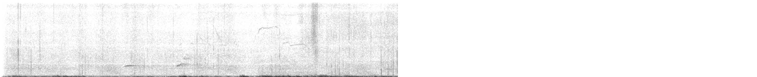 Colino della Virginia - ML570350071