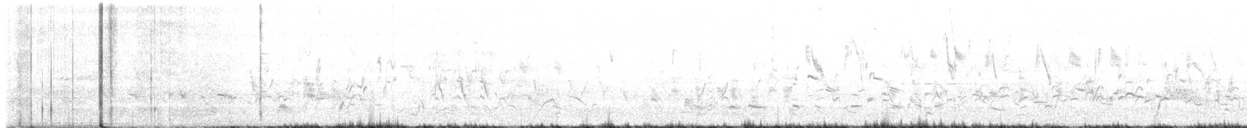 דרורן זהוב - ML570350921