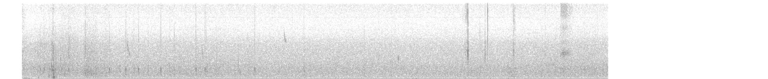Haplospize gris-de-plomb - ML57035641