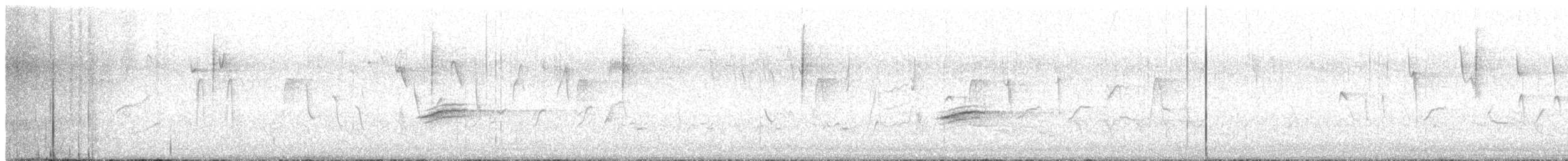 Hybride Tohi tacheté x T. à flancs roux - ML570368871