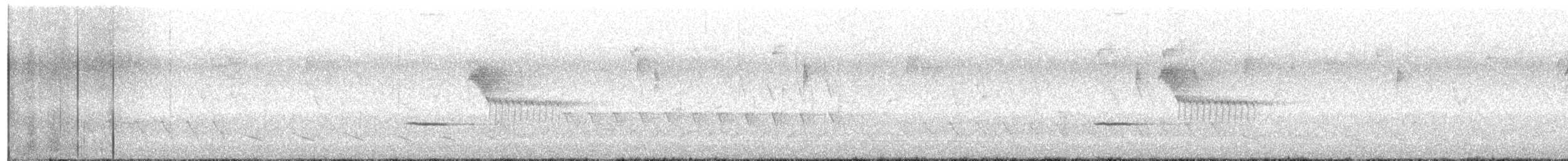 Hybride Tohi tacheté x T. à flancs roux - ML570369051