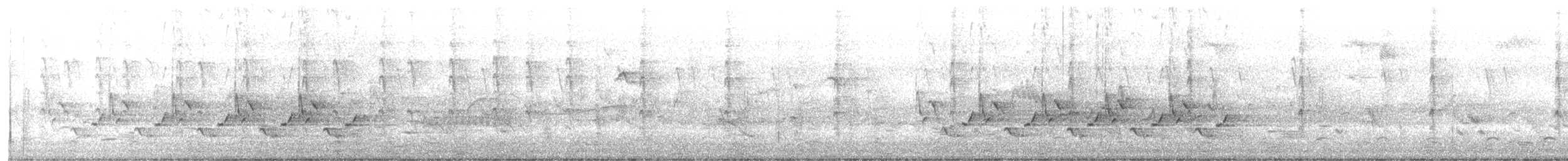 Поплітник каролінський - ML570381261