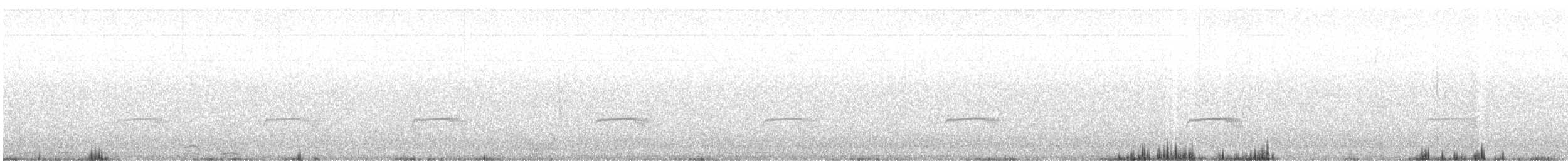 Schmalspiegel-Nachtschwalbe - ML57038541