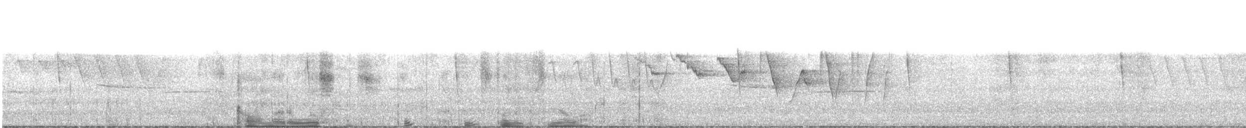 strømparula - ML570395091