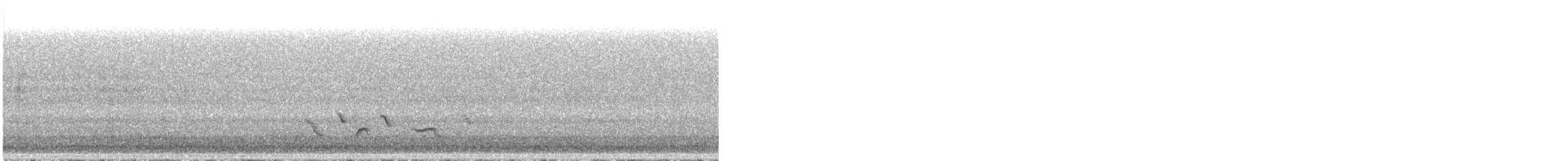 Baltimore Oriole - ML570407111