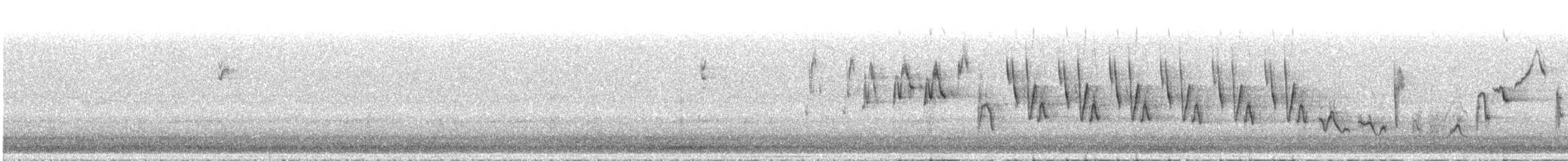 Ovenbird - ML570407271