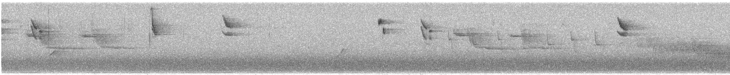 Papamoscas Gris (grupo striata) - ML570409311