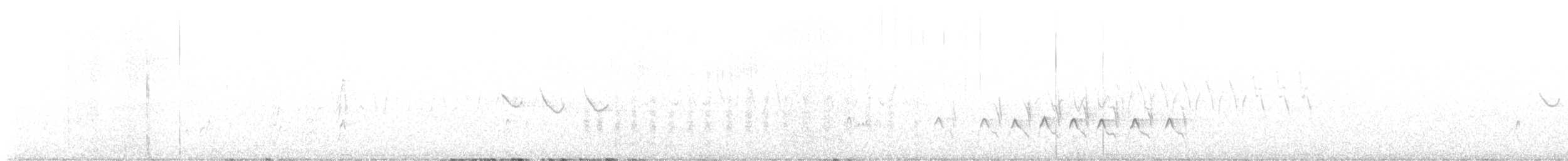 strakapoud proužkohřbetý - ML570409661