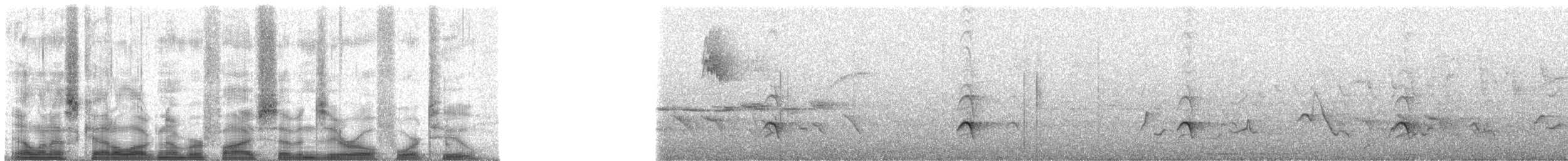 Merle de Reeve - ML57042