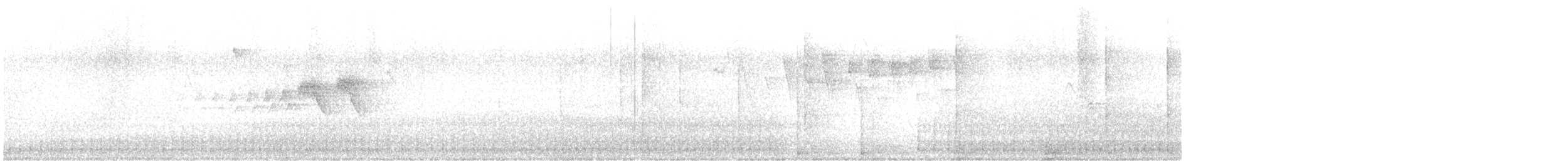 Black-throated Gray Warbler - ML570435281
