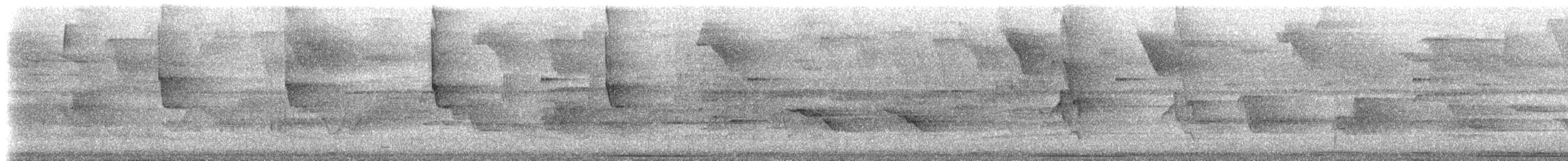 Colibri à bec noir - ML570444821