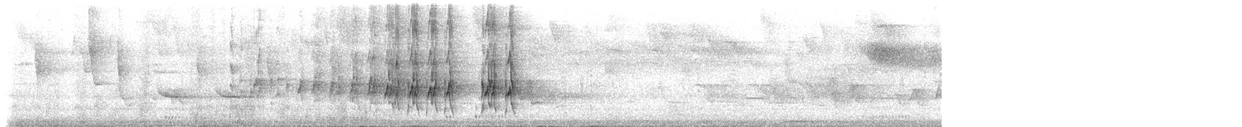 Антильский тиранн [группа caudifasciatus] - ML570447401