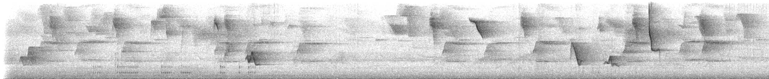 Colibri à bec noir - ML570448241