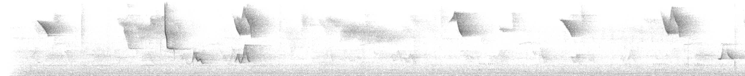 svartnebbstrimmelstjert - ML570448281