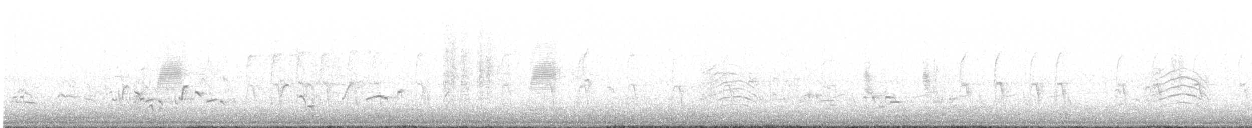 American Woodcock - ML570516921