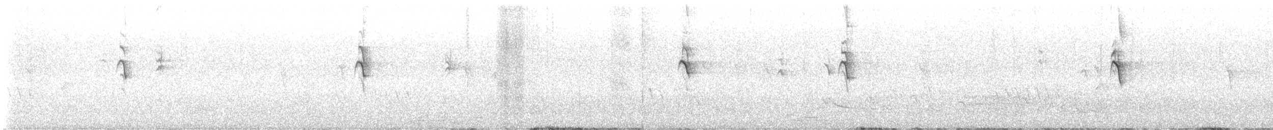 White-browed Treecreeper - ML570596521