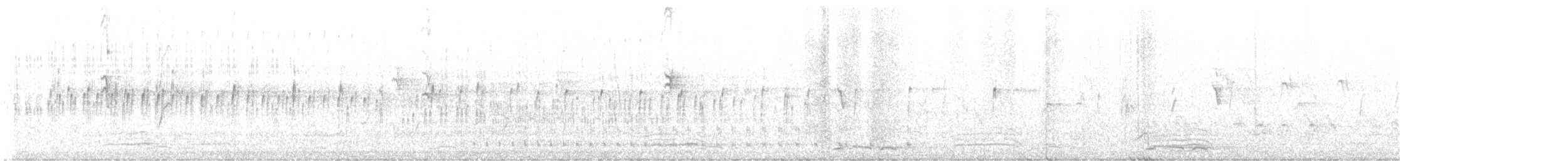 Black-fronted Dotterel - ML570596901