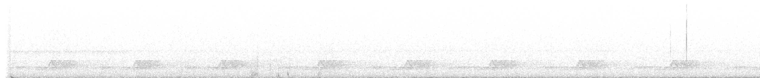 Schwarzkehl-Nachtschwalbe - ML570611121