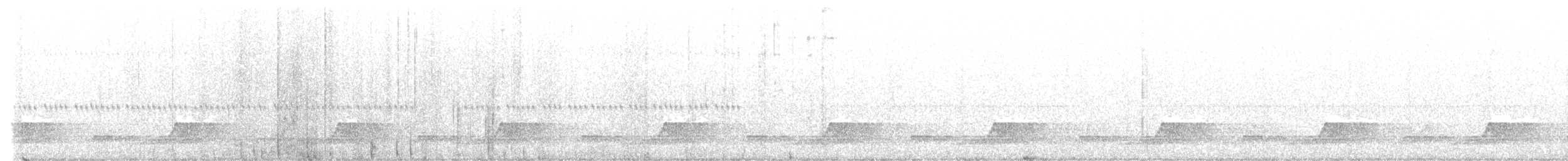 Schwarzkehl-Nachtschwalbe - ML570611161