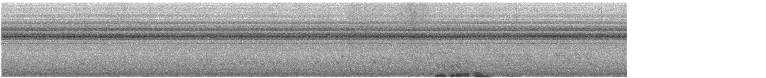 Lagden's Bushshrike - ML570621841