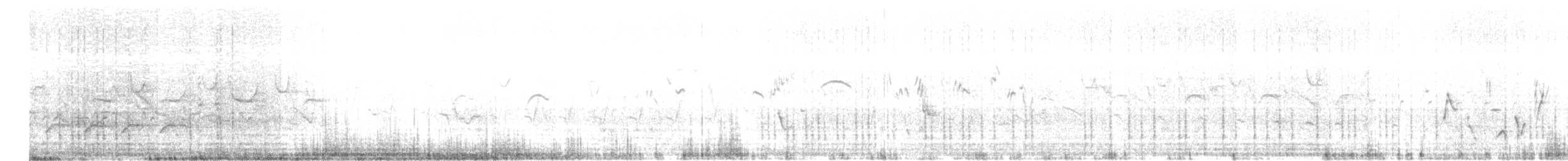 White Wagtail - ML570627721