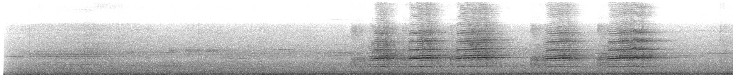 sokol stěhovavý (ssp. peregrinator) - ML570661511
