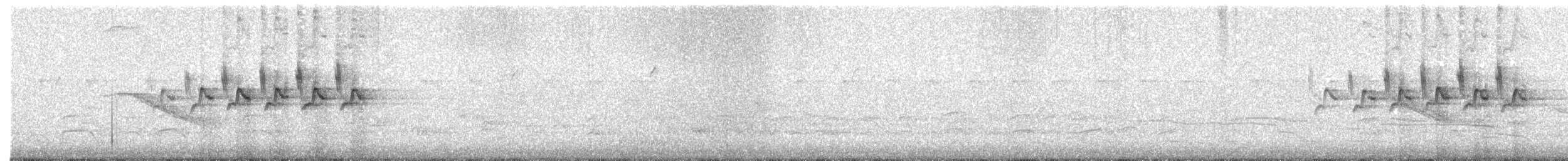 キヅタアメリカムシクイ（coronata） - ML570676701
