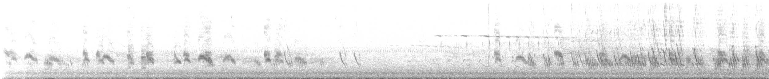 Büyük Mor Kırlangıç - ML570716531