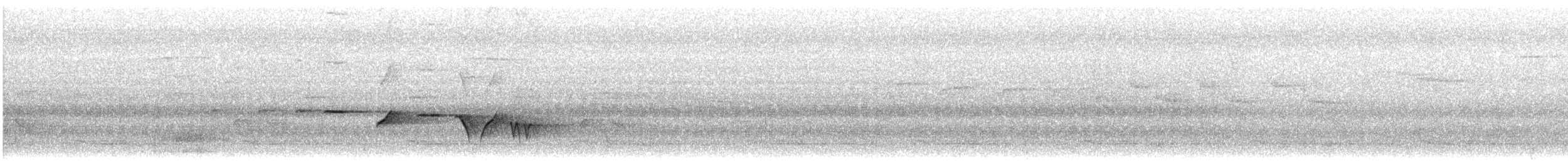 Gray-bellied Tesia - ML570734771