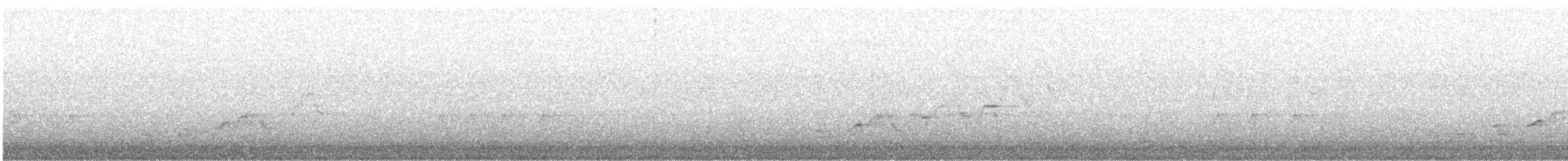 Дрізд-короткодзьоб Cвенсона [група ustulatus] - ML570740981