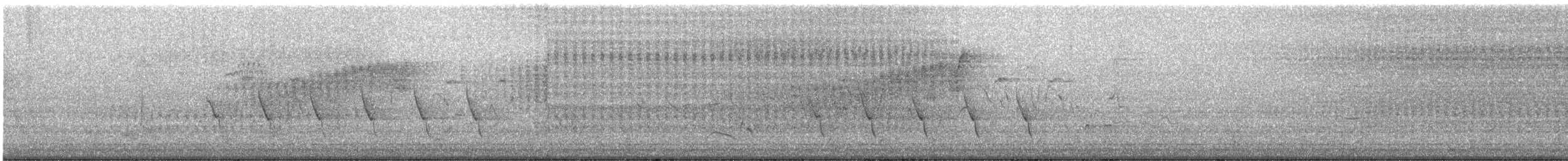 Northern Parula - ML570752521