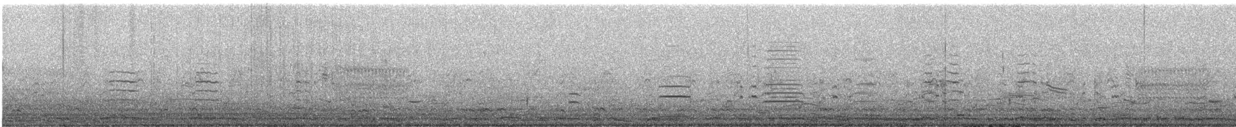 Cygne siffleur - ML570801521