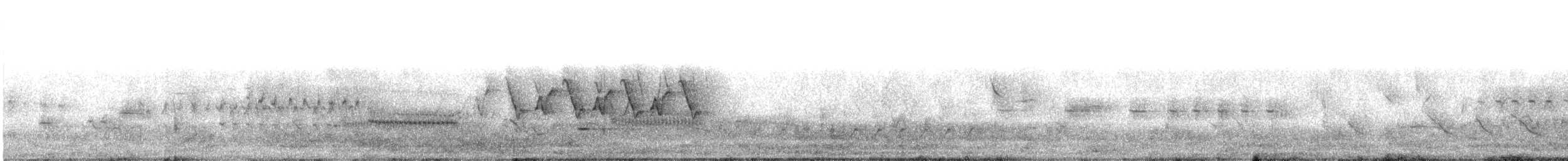 Common Yellowthroat - ML570855951