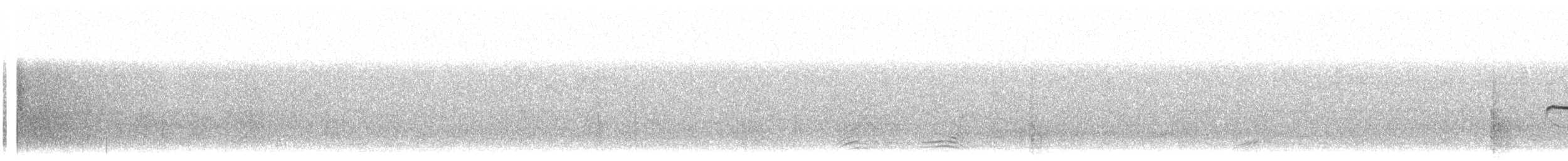 nordglattyrannulett - ML570868711