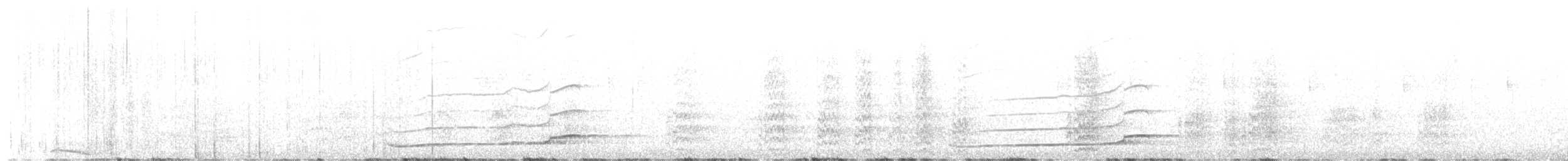 Сова плямиста (підвид lucida) - ML570874271