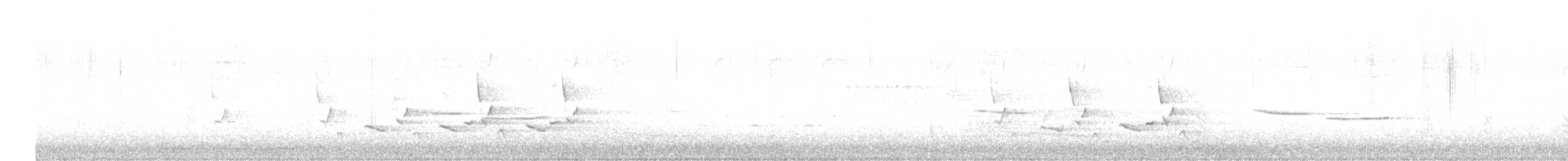 Каролинский крапивник - ML570889181