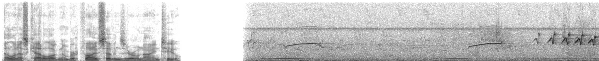 Gri Alınlı Sinekkapan (phaeocephalus) - ML57092