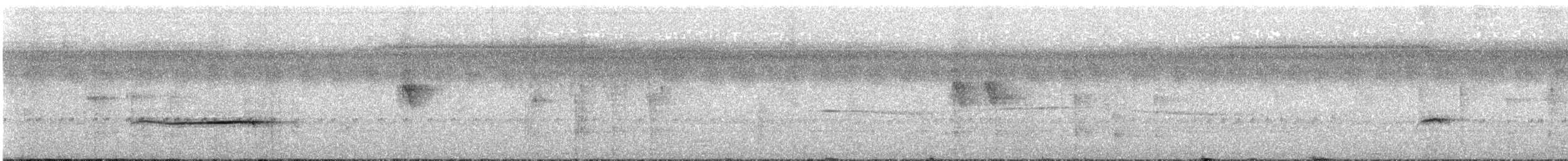Açık Göğüslü İlladopsis - ML570927241